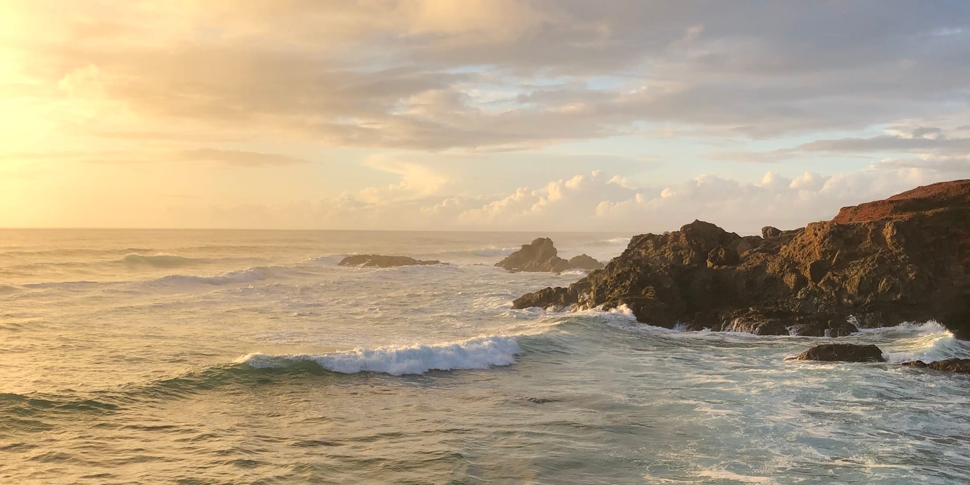 Tell Your Cat I Said...